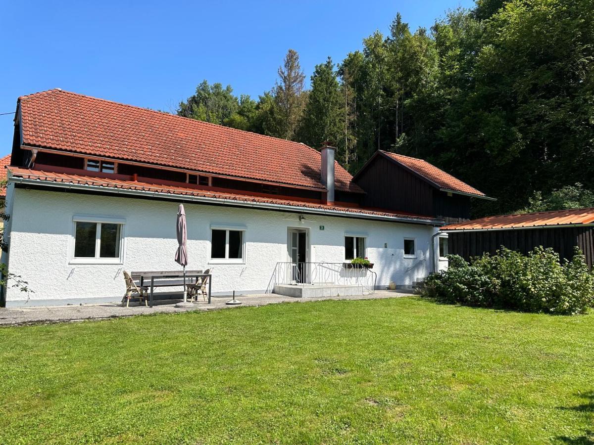 Haus Im Gruenen - Gmundennaehe Pinsdorf Ngoại thất bức ảnh